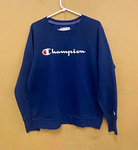 Champion men navy graphic - navy,