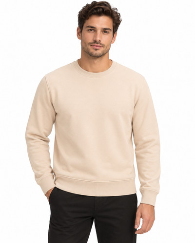 Mens sweatshirt heavy - mens,